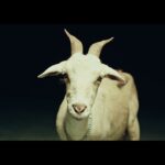 Hernani Lanca Videoclipe Do Single Bleat