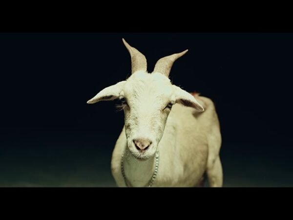 Hernani Lanca Videoclipe Do Single Bleat