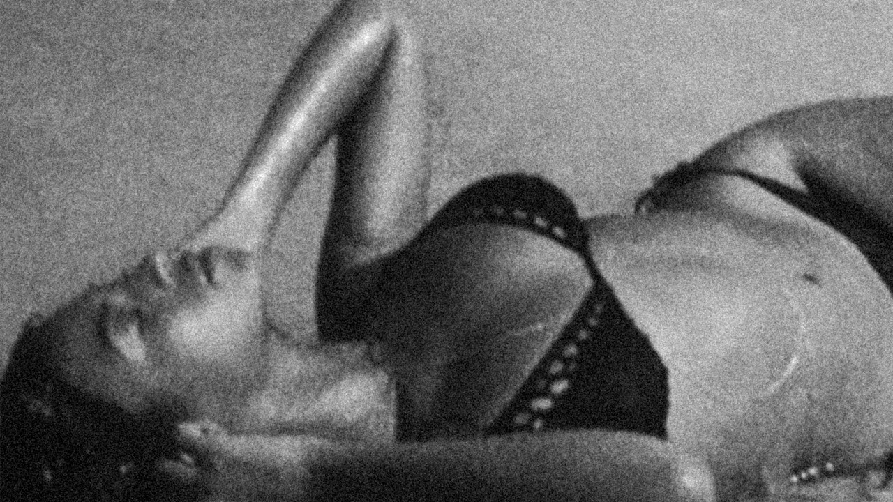 Beyoncé lança "Morning Dew (Donk)" e anuncia B'Day 20 Anos 7 Beyoncé lança "Morning Dew (Donk)" com produção de Pharrell Williams para celebrar 20 anos do álbum B'Day