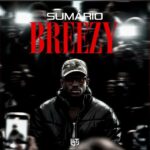 Capa oficial do EP "Sumário de Breezy" de V-Lex, lançado em julho de 2026